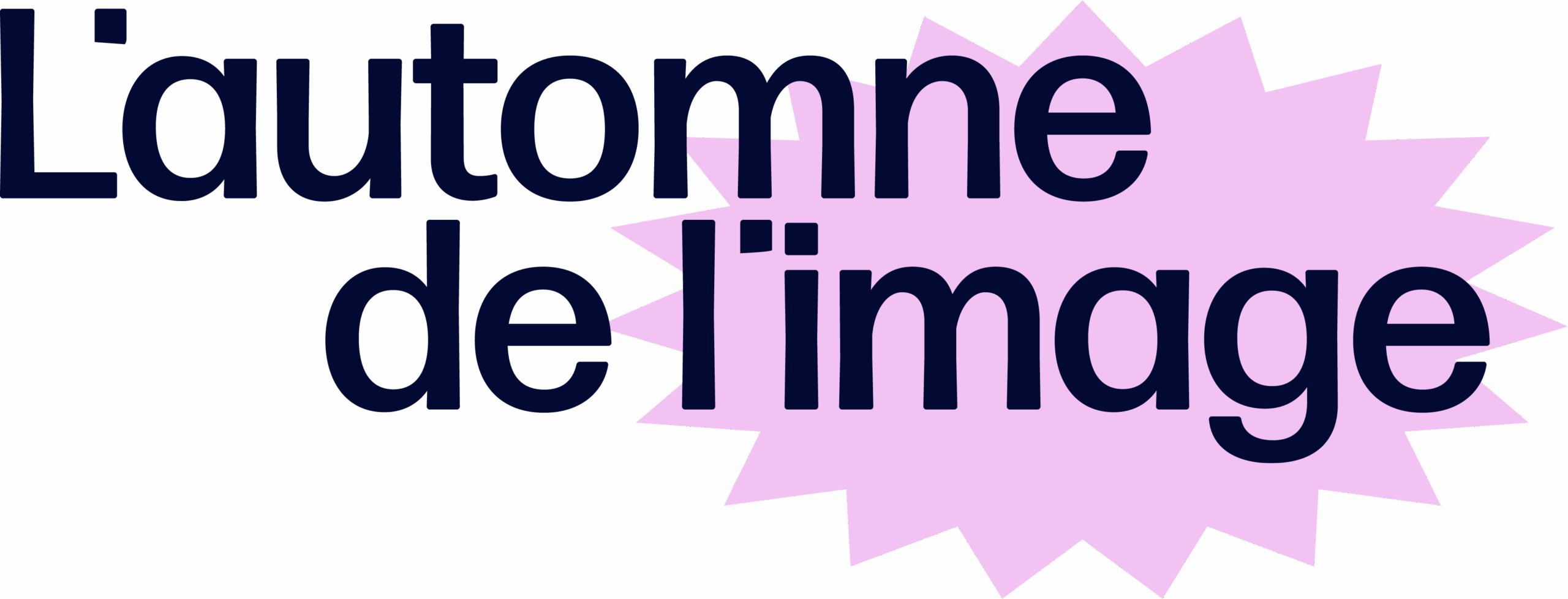 L'Automne de l'Image